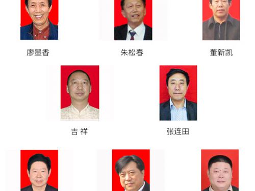 资质评委团